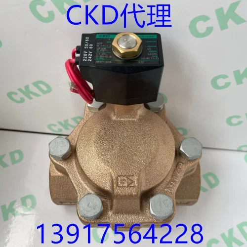 Фото Полностью разборный паровой электромагнитный клапан 2026 AP11-15A/20A-C2C-AC220V №3