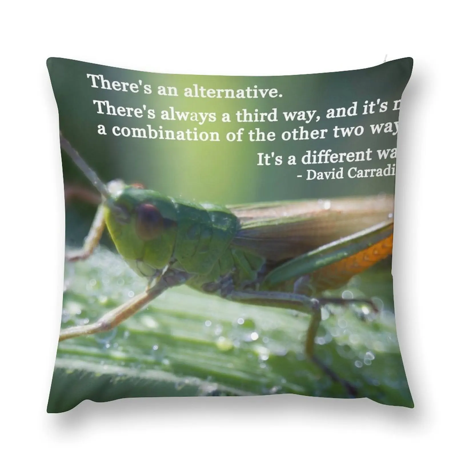 Ahhh Кузнечик диванная подушка роскошные диванные подушки наволочка для дивана