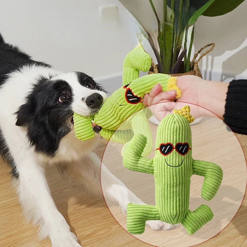 

Pet dog plush cactus toy bite-resistant golden retriever large dog interactive relieve boredom Pomeranian puppy molar dog toy
