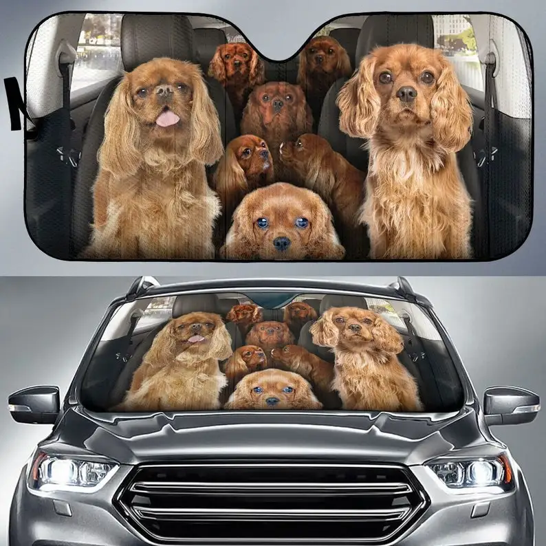 

Cavalier King Charles Spaniel B Auto Sun Shade 36 Personalized Sunshade, Custom Animal Pattern Sunshade