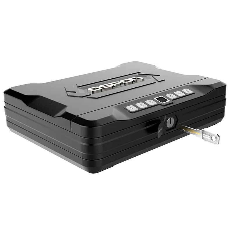 Рисунок 4 - Портативный полупроводниковый Сейф