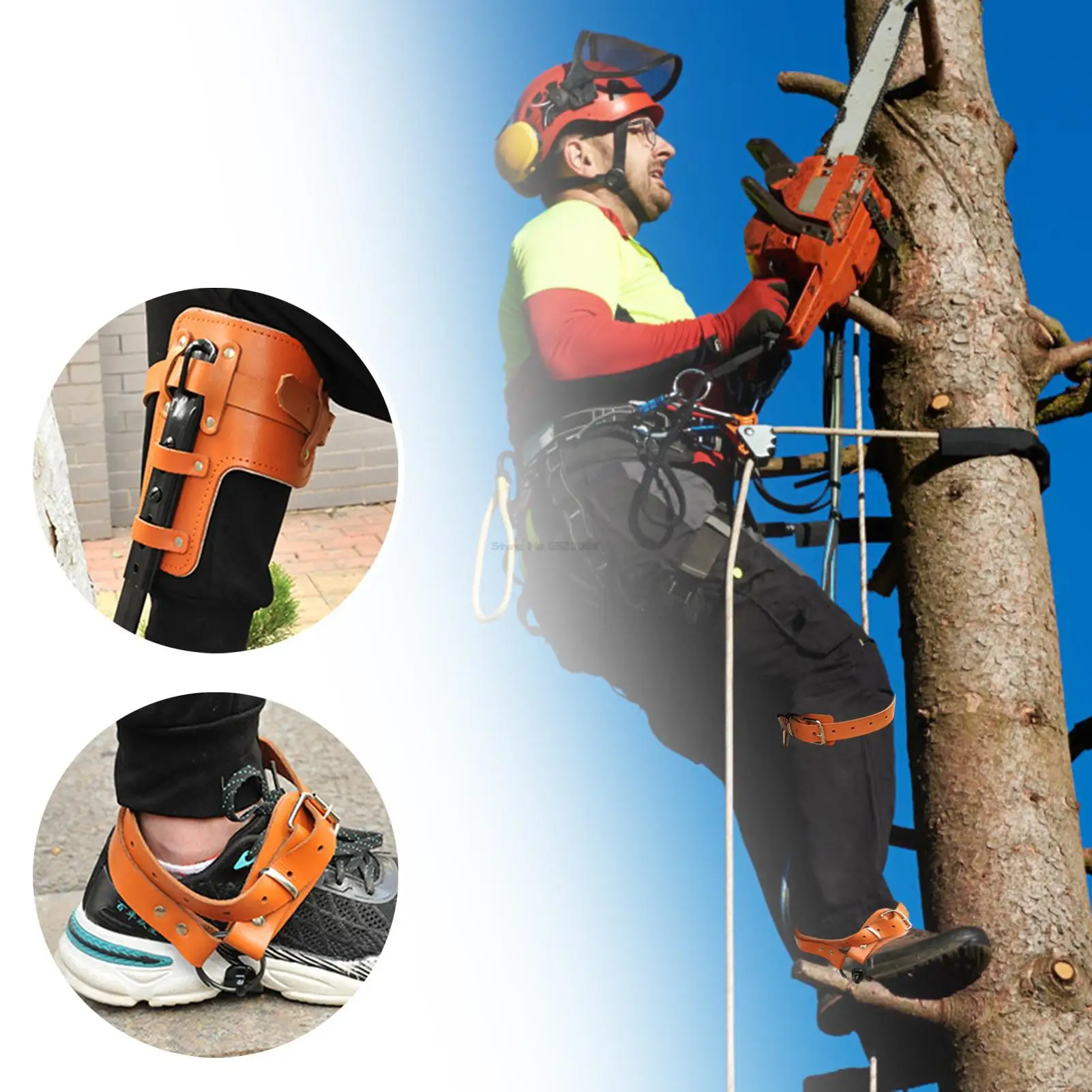 

Simple Tree Climbing Tool Pole Climbing Spikes Stainless Steel Tree Climbing Equipment For Hunting Observation Picking Fruit