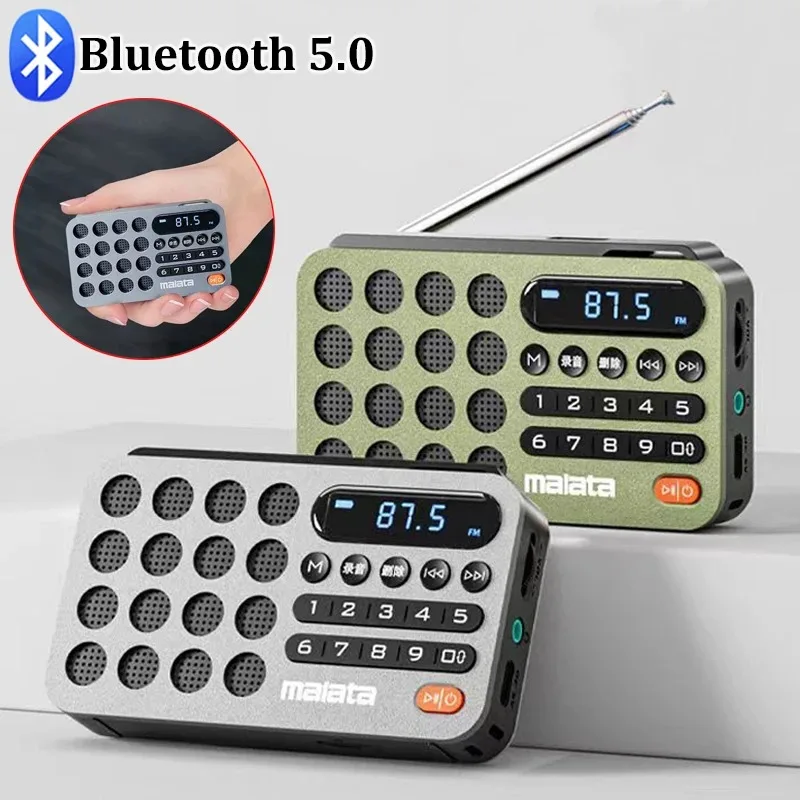 

Мини FM-радио, Портативный FM-радиоприемник, Bluetooth-динамик, TF/USB/гарнитура, музыкальный проигрыватель, рекордер с внешним дисплеем, подарок для пожилых людей