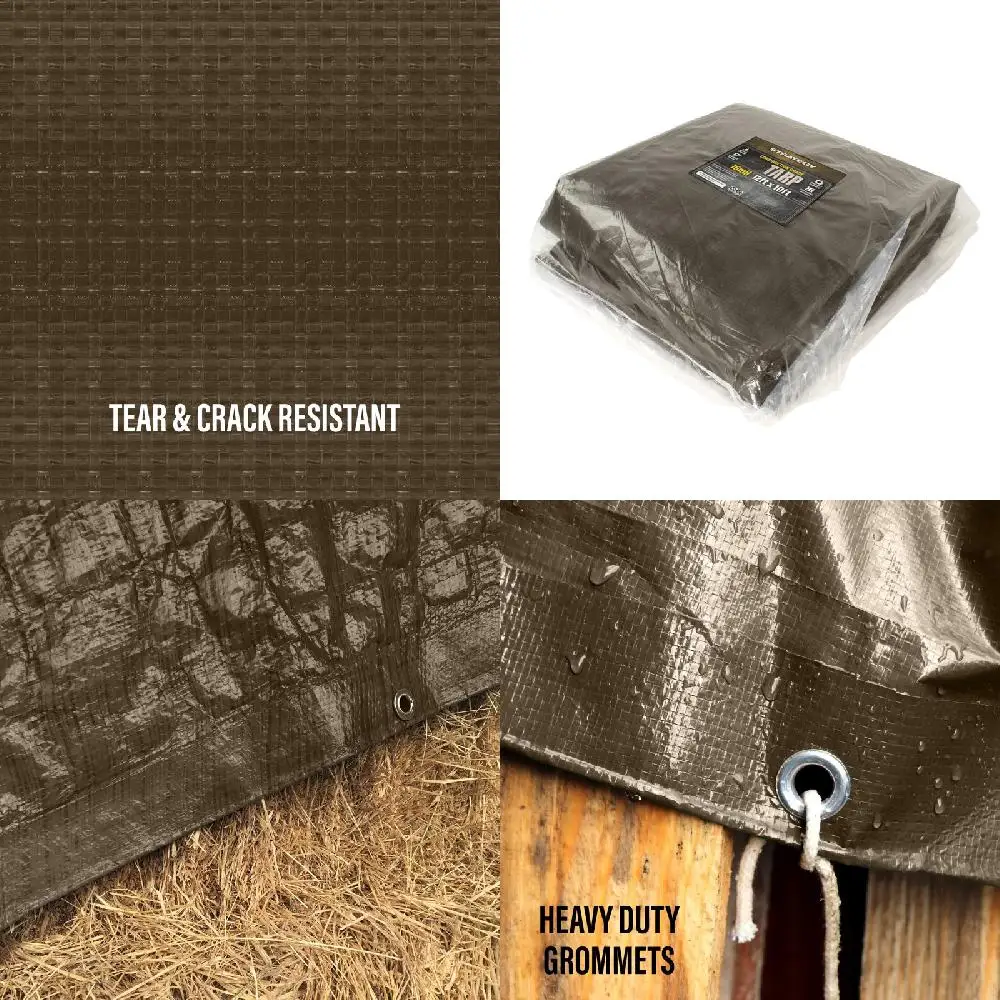 

"Guaranteed Durable, High-Quality 12' x 10' Mil Grade Polyethylene Tarp Cover - Lasting Construction".