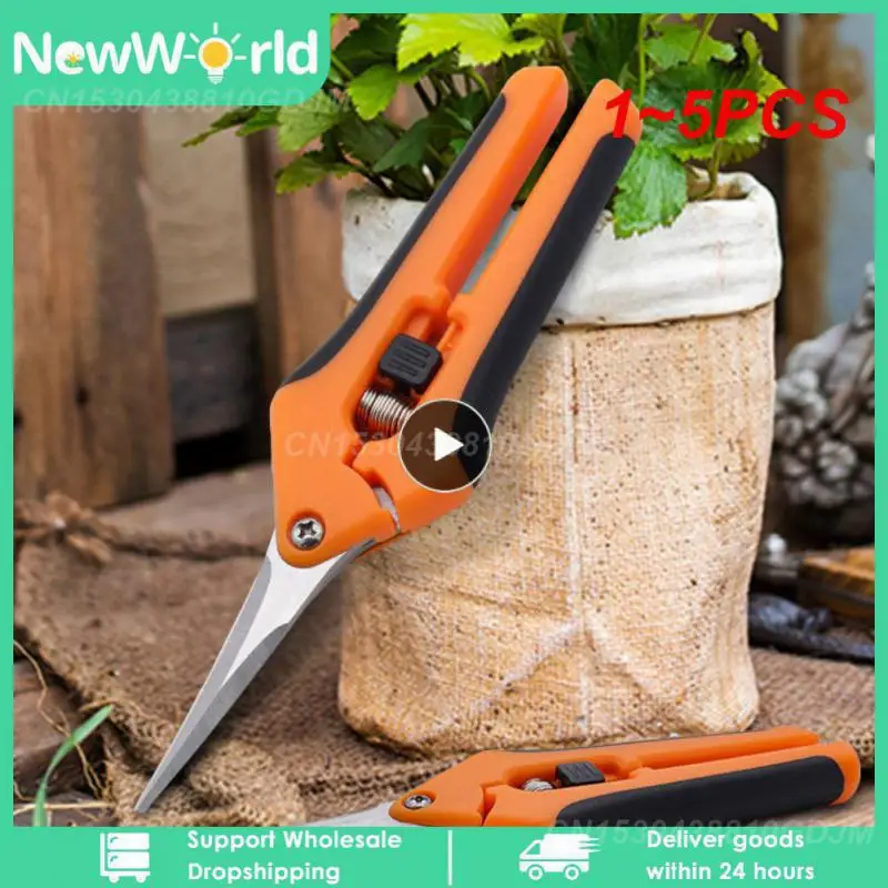 

1 ~ 5 шт. дюймовый садовый ручной секатор, обрезка, обрезка, ножницы, нержавеющая сталь, прямые/Изогнутые лезвия для бутонов, трав, цветов