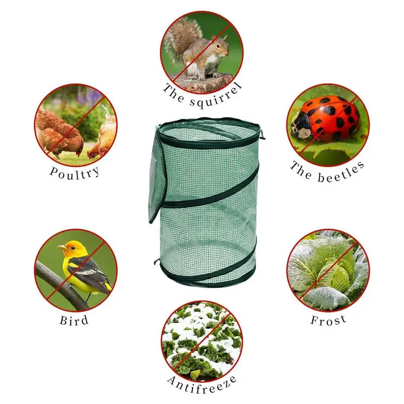 Небольшая теплица для помещений складная двора компактная палатка Балконная