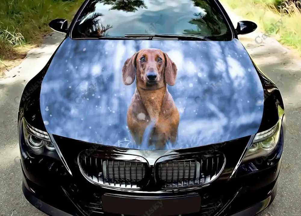 

miniature dachshund Car Hood Wrap Color Vinyl Sticker Decal Truck Graphic Bonnet Custom Car Decoration Stickers
