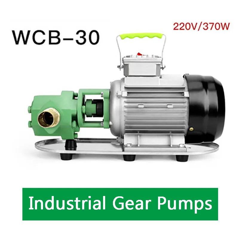 Дизельный топливный масляный насос с высокой вязкостью 220 В портативный пищевой