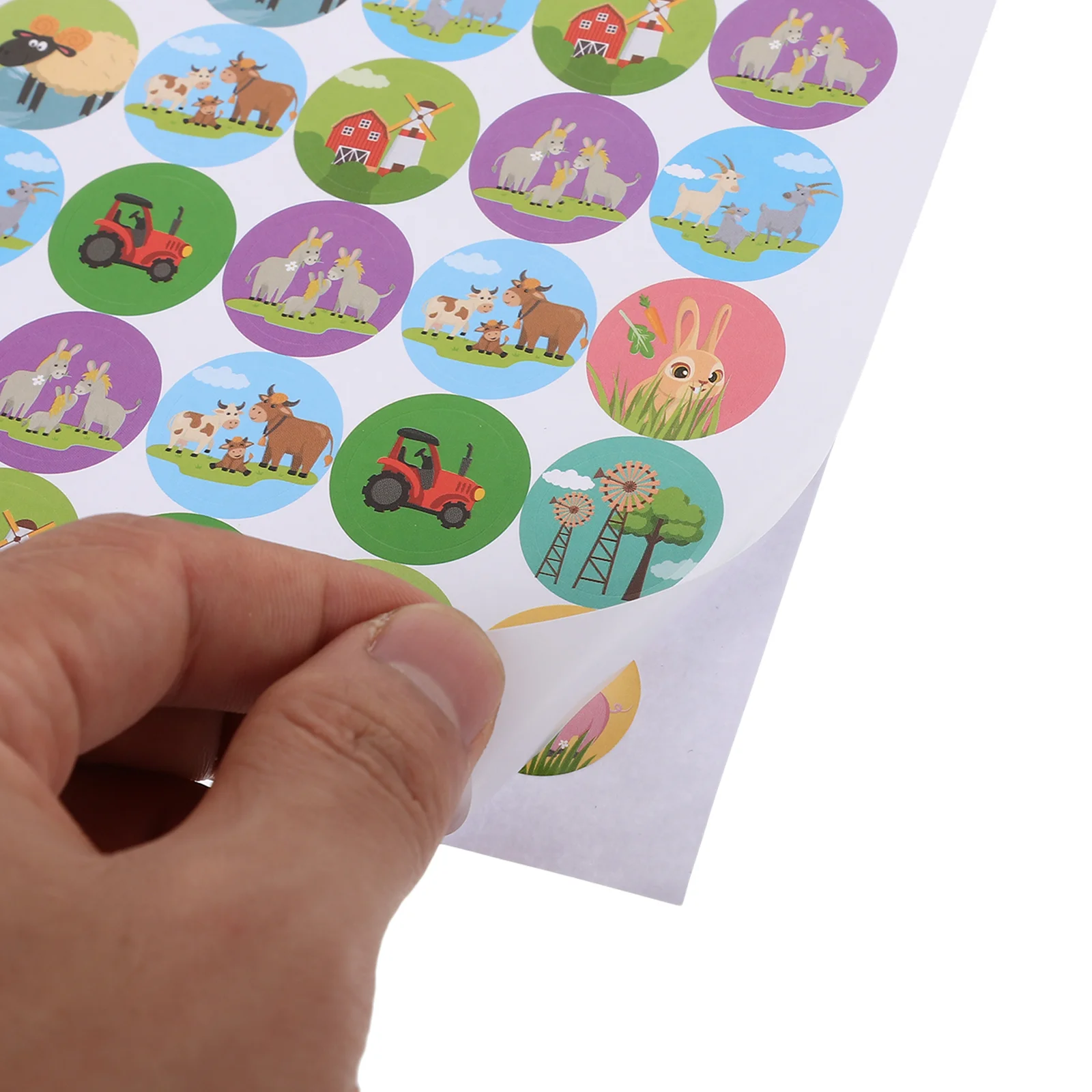 Stickers for Children Kids Potty Training Dinosaur Decals Supplies Chart Toddlers Boys with