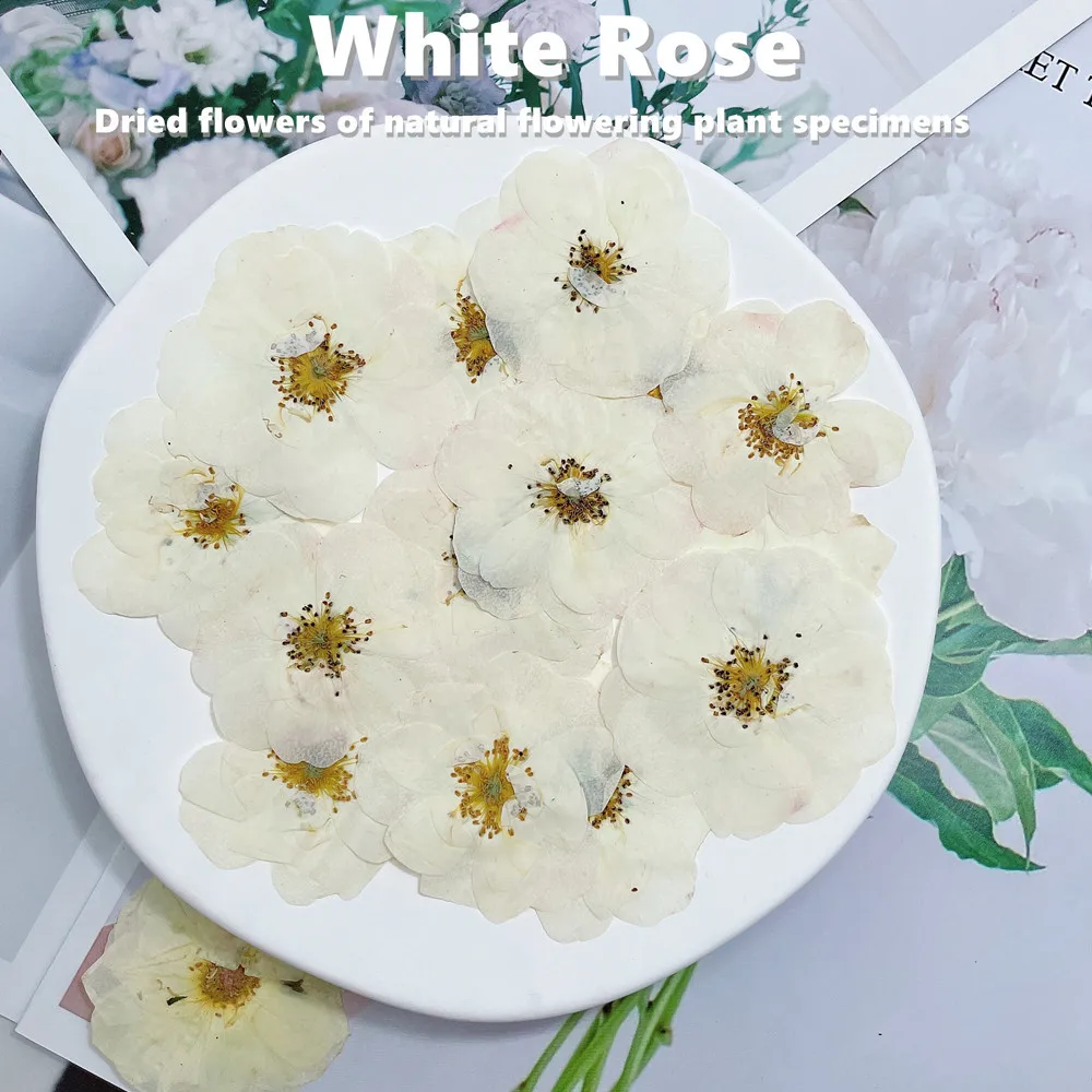 

60 шт./упаковка, сушеные натуральные розы для ногтей