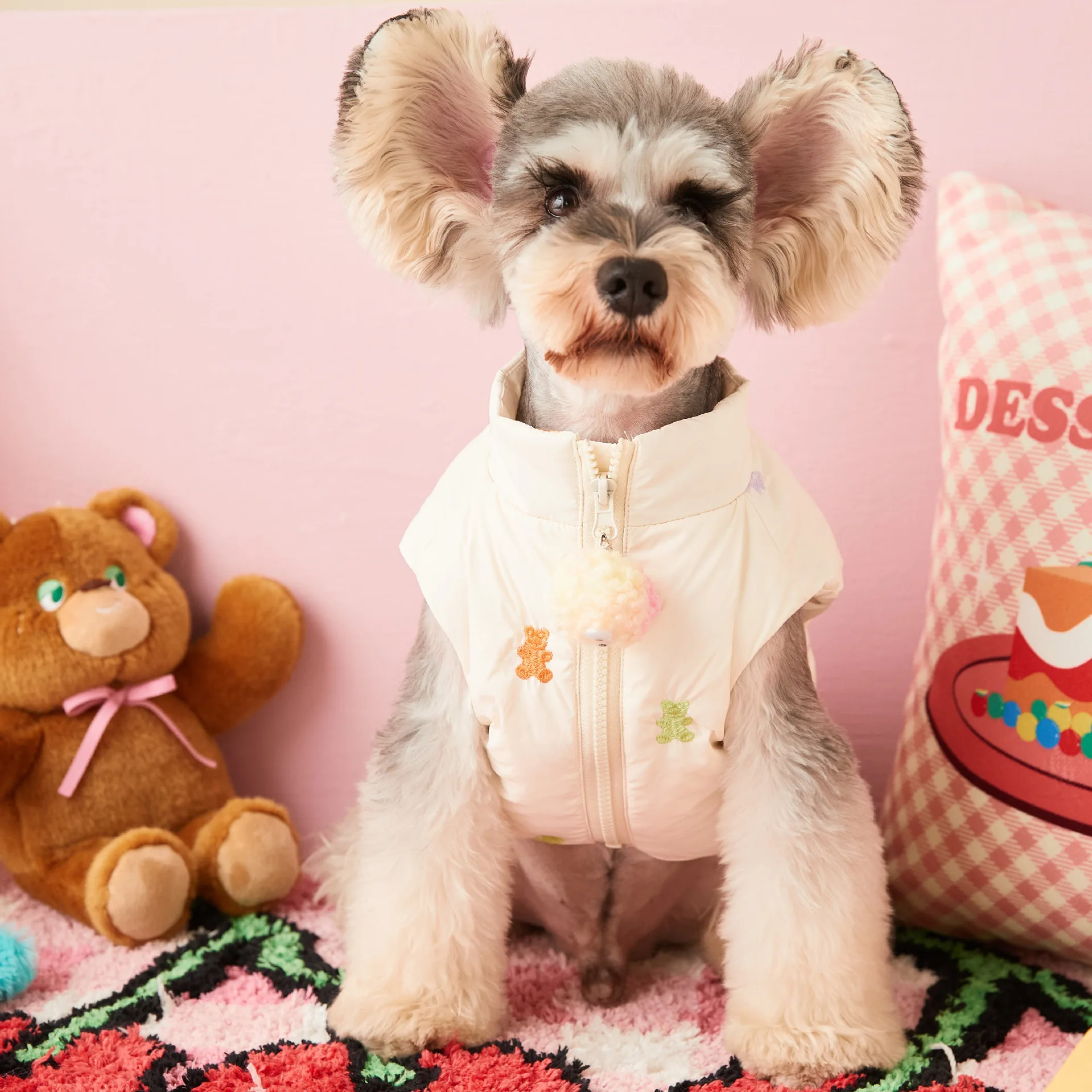 

New Pet Dog Autumn and Winter Warmth Baby Bear Cute Teddy Schnauzer Bomei Bibear Down Vest Sleeveless