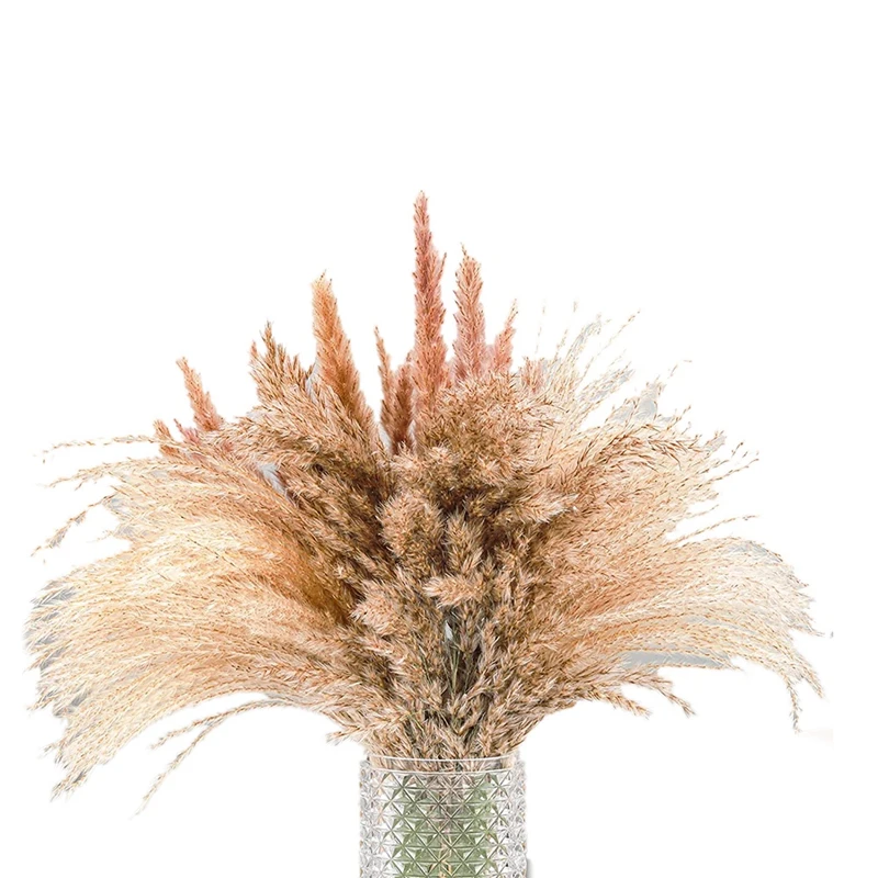 

Pampas Grass Decor 65 PCS - Premium Boho Home Decor - Fluffy & Natural Dried Flowers Pompous Grass, 17Inch