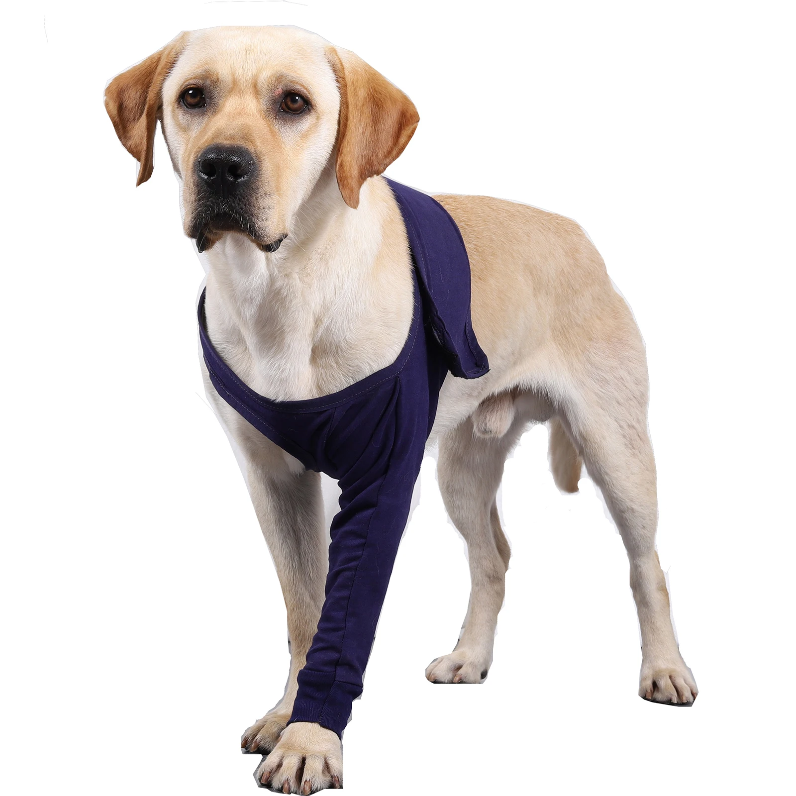 

Jean Blue Breathable Pet Dog Recovery Sleeve Anti-licking Wounds Surgery Front Leg Dog Training Sleeve Pet Supplies Dog Products