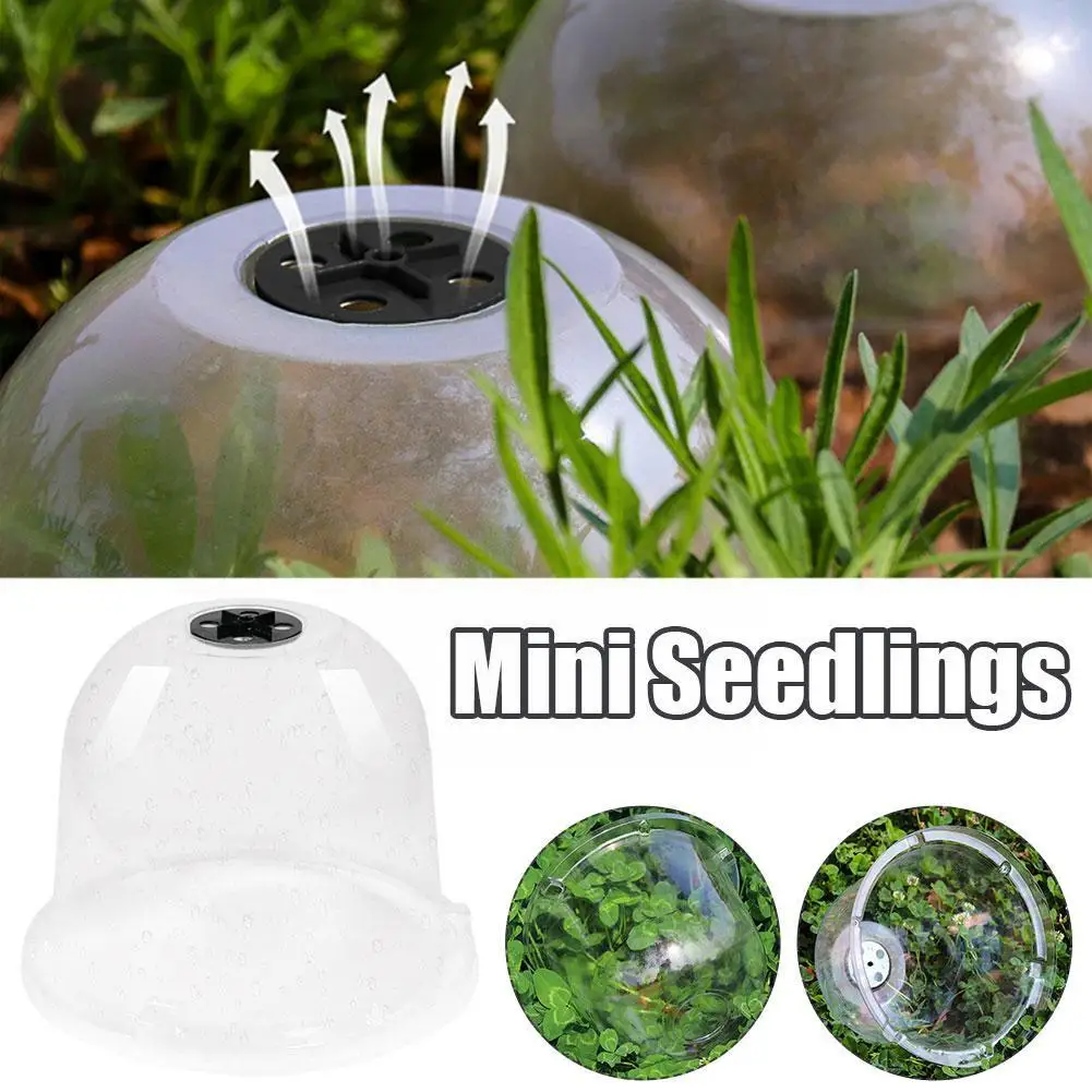 

Garden Tool Mini Insulation Cover Seedling Cover Plastic Cover Freeze PET Garden Transparent Seedling Protection P7D6