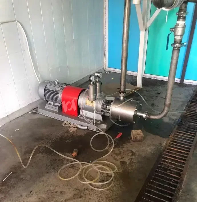 Эмульгирующий насос Эмульгатор с высоким сдвигом Смеситель/омгенизатор для