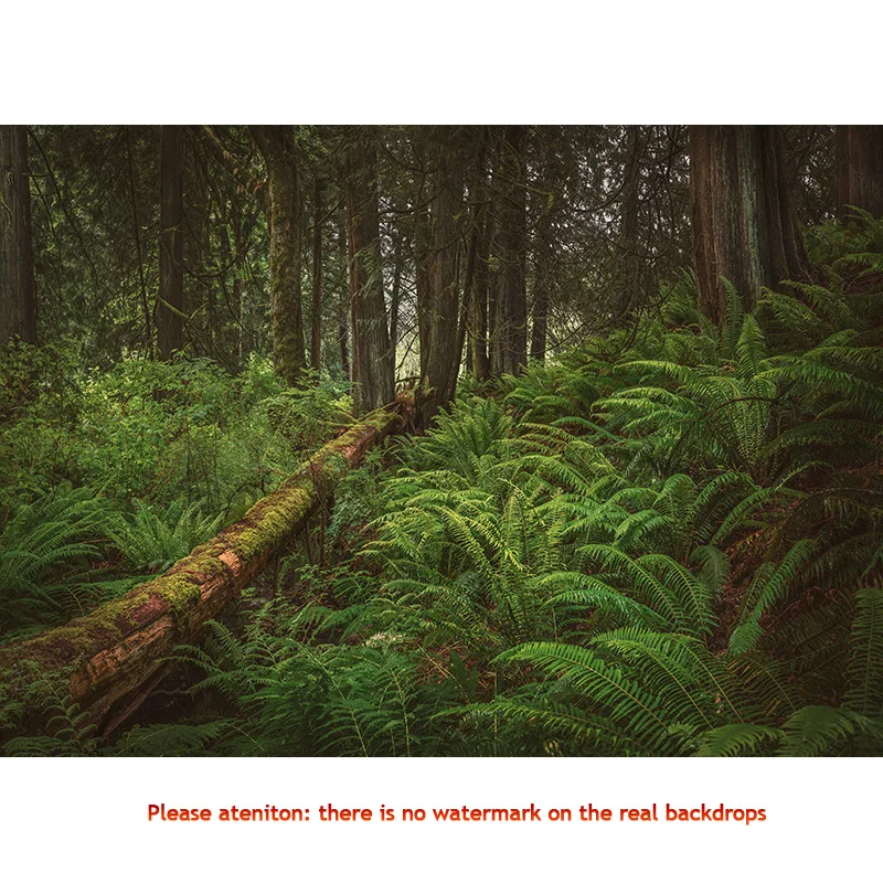 Опавшие деревья в зеленых девственных хвойных лесах фоны для фотосъемки