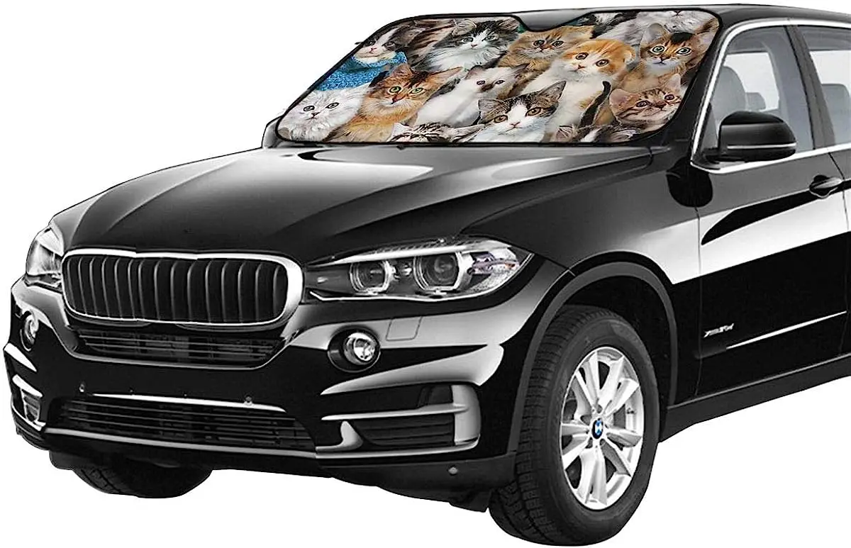 Рисунок 3 - Коты милые Упакованные коты автомобильный