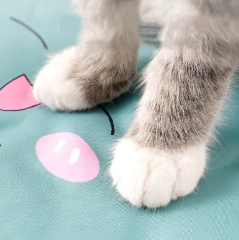 Летний новый мягкий гелевый коврик для домашних животных с Ватерлоо |