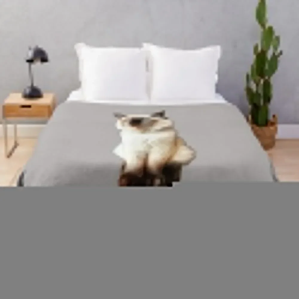 Тряпичная кукла-кошка Ragdoll котенок птичка уплотненное одеяло декоративные