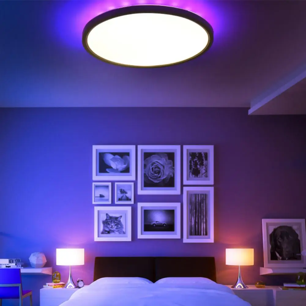 

White Rgb Led Light Dimmable Ceiling Light Ip20 Waterproof Bedroom Lamp Smart Light 3000k-6500k Ultra Thin Light Flush Mount 32w