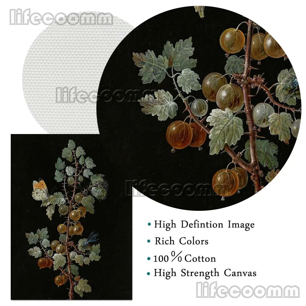 Gooseberry пион цветок радужной оболочки винтажный ботанический настенный