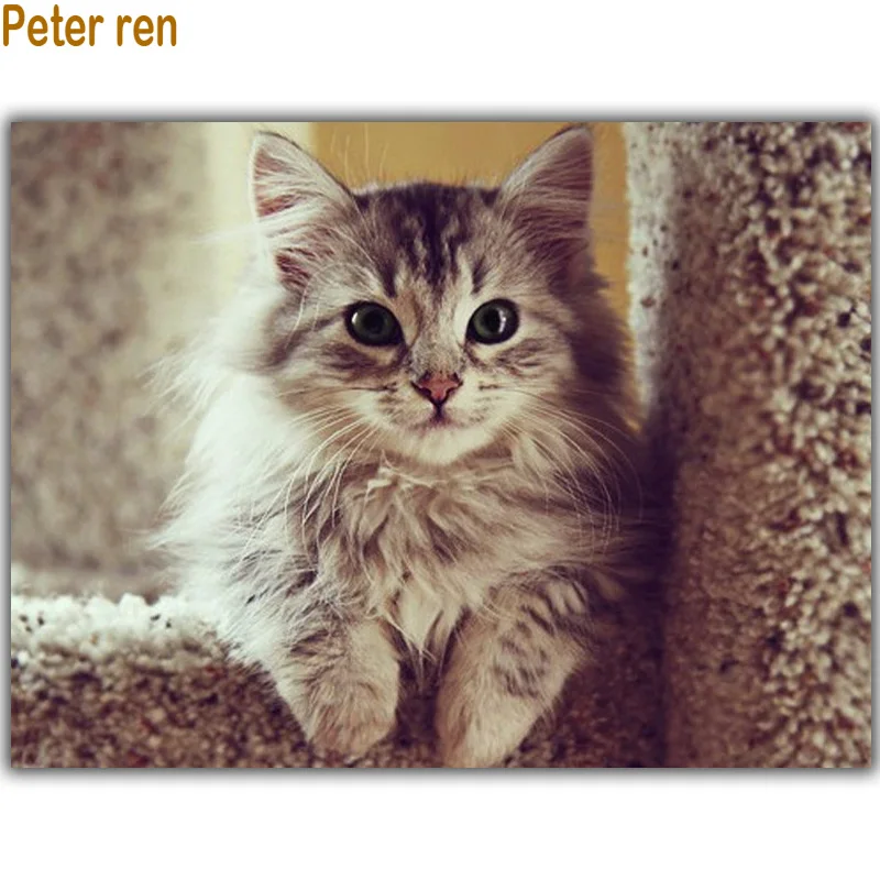 

Peter ren Diamond painting Cross stitch Diy Diamond embroidery animal Cat full 3d square rhinestone resin Diamond Mosaic