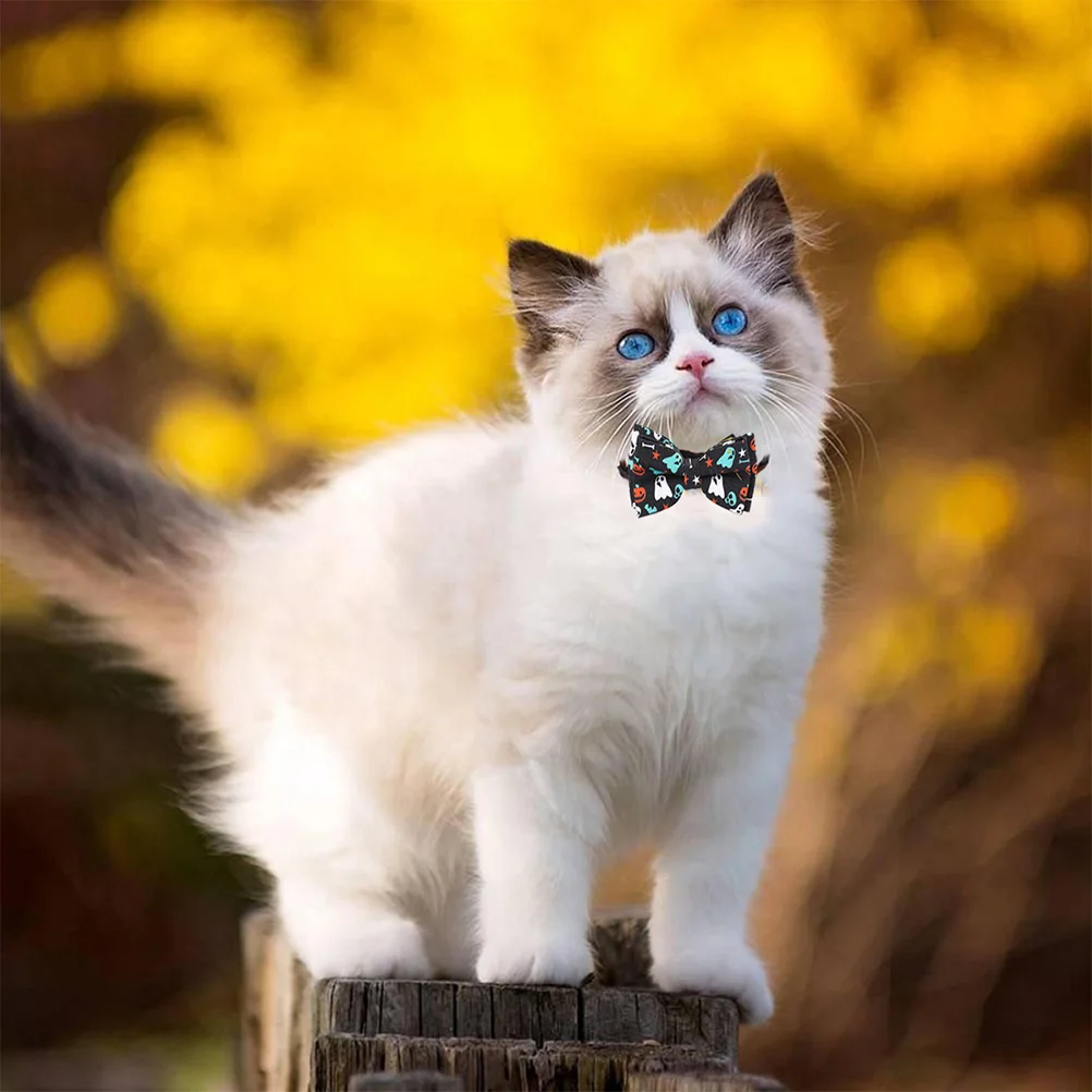 

1pc Collar Durable Sturdy Collar Collar for Cat