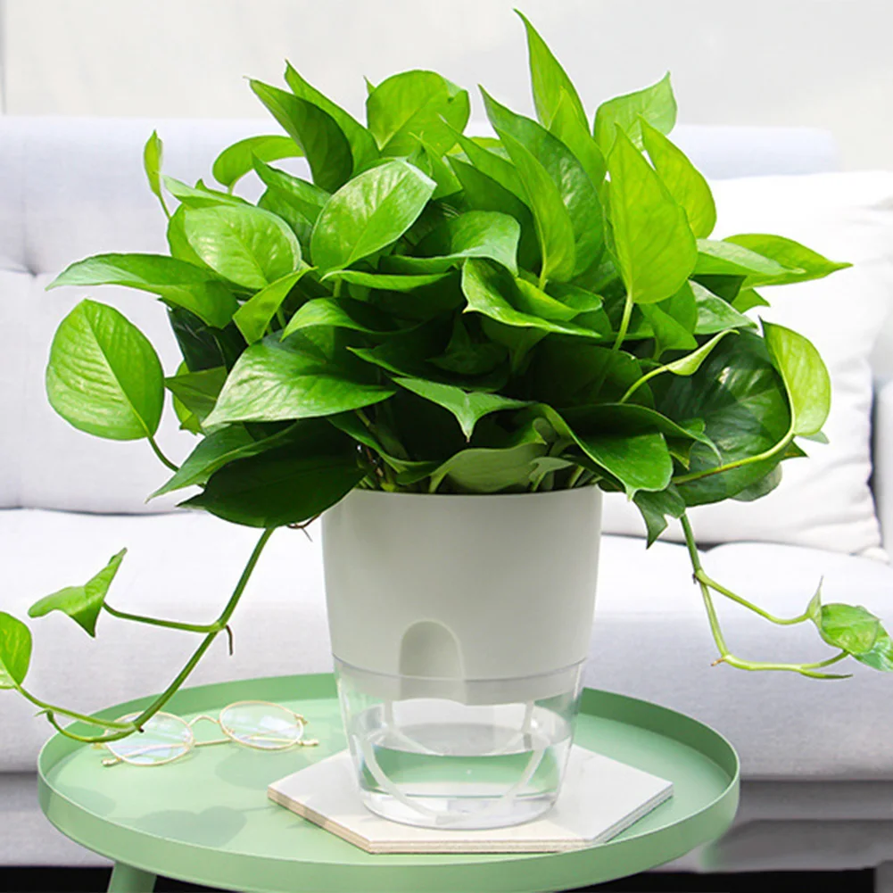

Brand New None Flowerpot Plant Pot Flower Pot Flowerpot Plastic Self Watering Transparent White 15.3*18.2cm 1pcs
