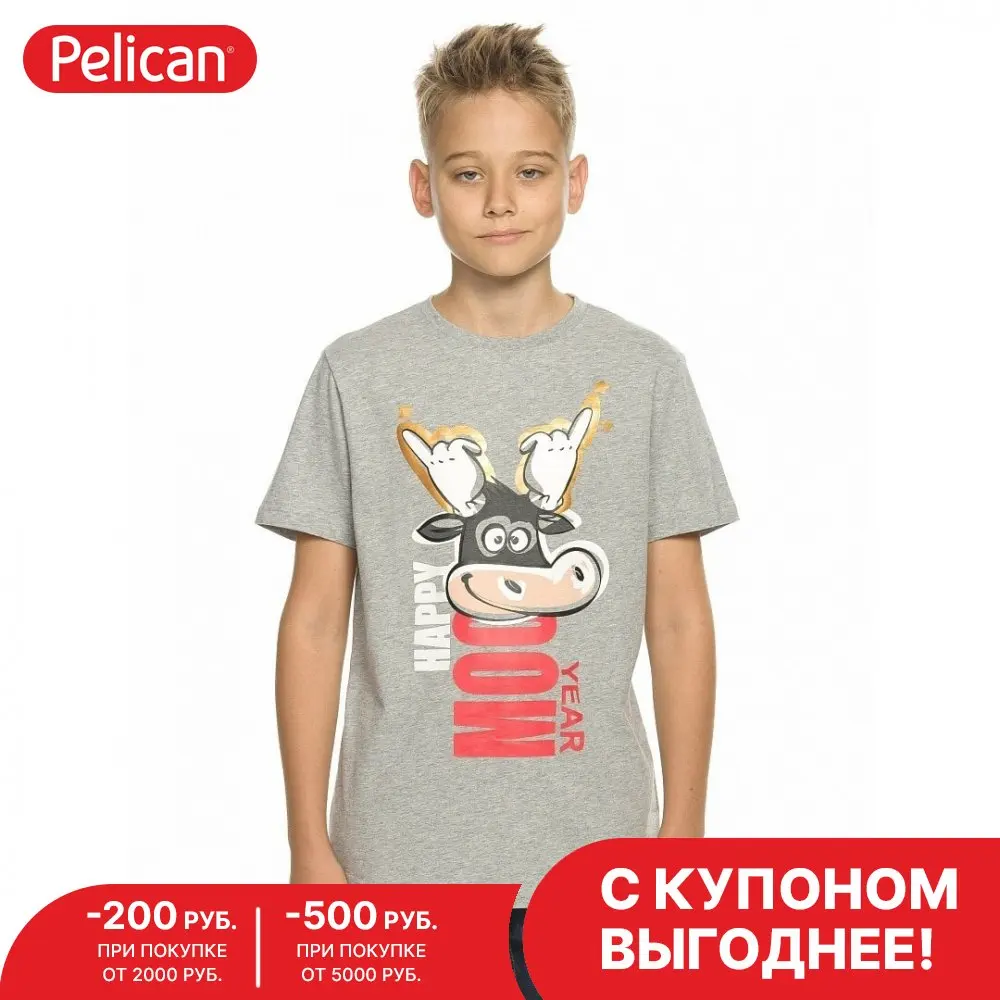 Футболка для мальчиков 6-11 лет Pelican арт. BFT4822/1 |