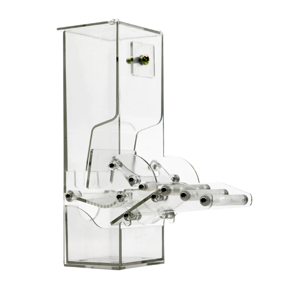 

Feeder Bird Automatic Feeders Bird Food Container Bird Food Feeders for Pigeons Parrot Starling Pet Birds Feeding Devices