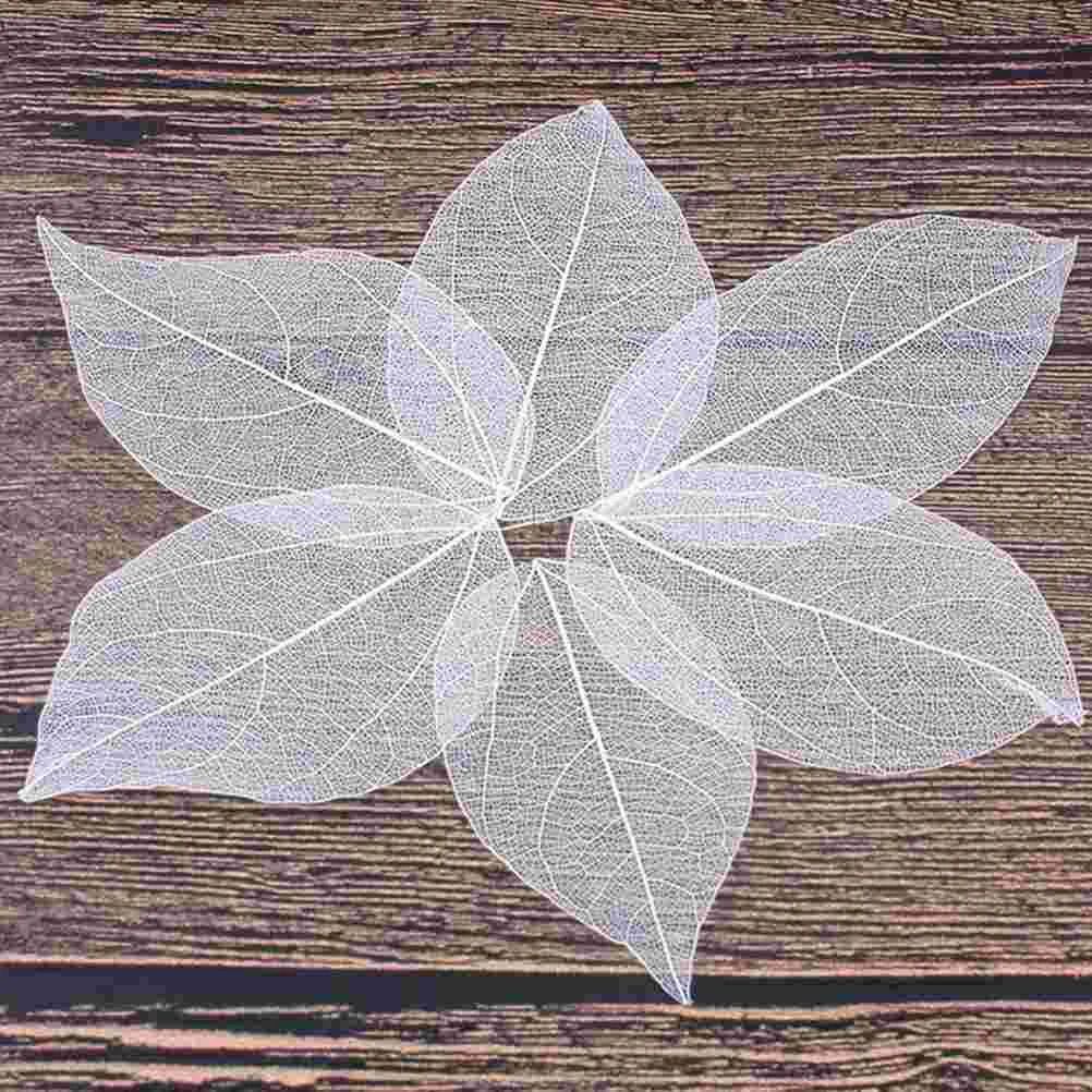 

Leaves Leaf Diy Natural Assorted Artificial Materials Tree Specimen Craft Embellishments Scrapbooking Faux Bookmark Home decor