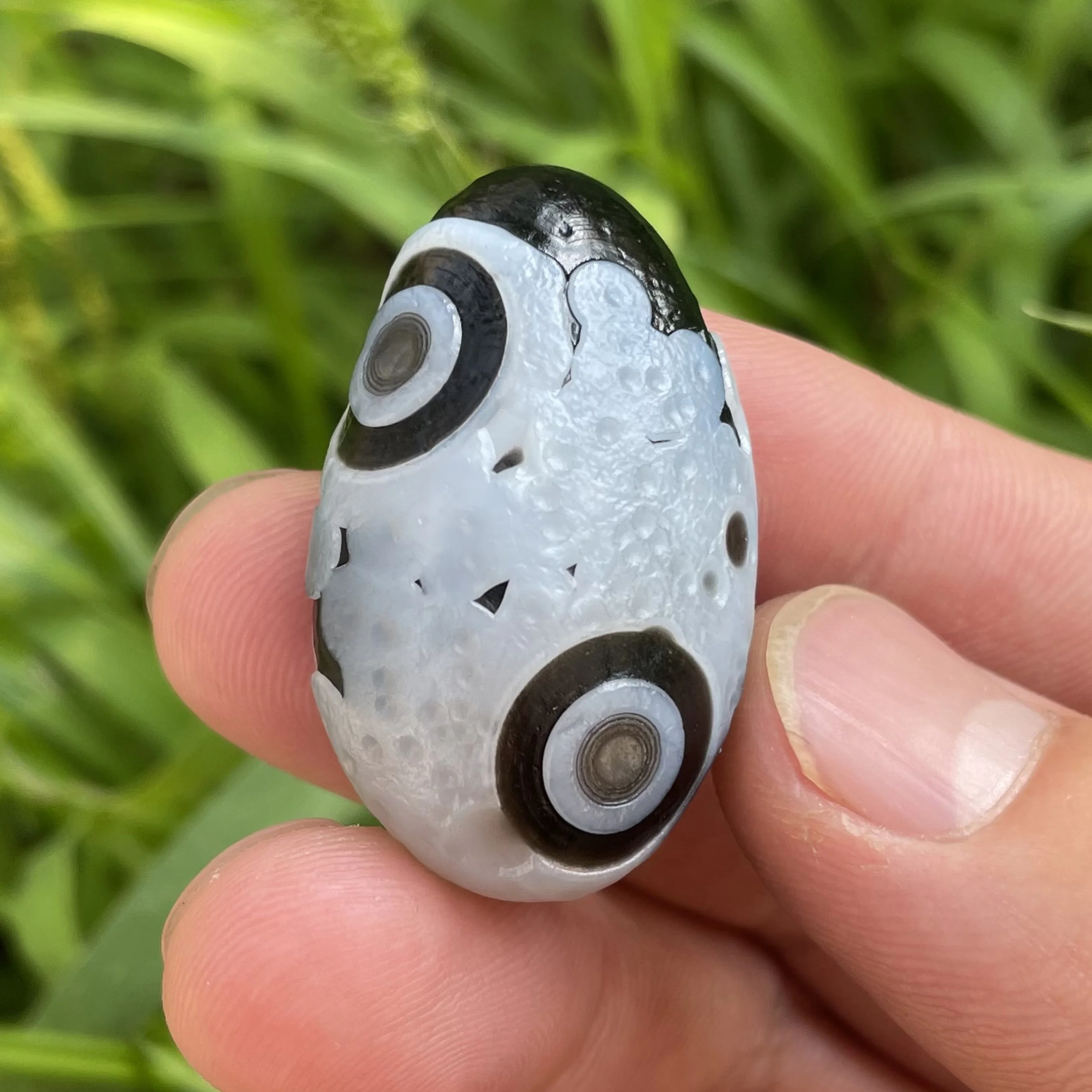 Натуральный черный агат Sardonyx Alxa Gobi Eye минеральный образец энергетическая чакра