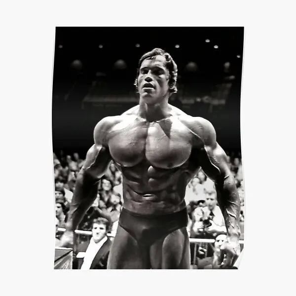 

Arnold Schwarzenegger Poster Wall Decor Home Funny Picture Decoration Art Painting Vintage Modern Print Room Mural No Frame