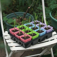 seed trays garden plant germination kit seed starting tray hand tool kits for indoor outdoor plants seedling starter tray