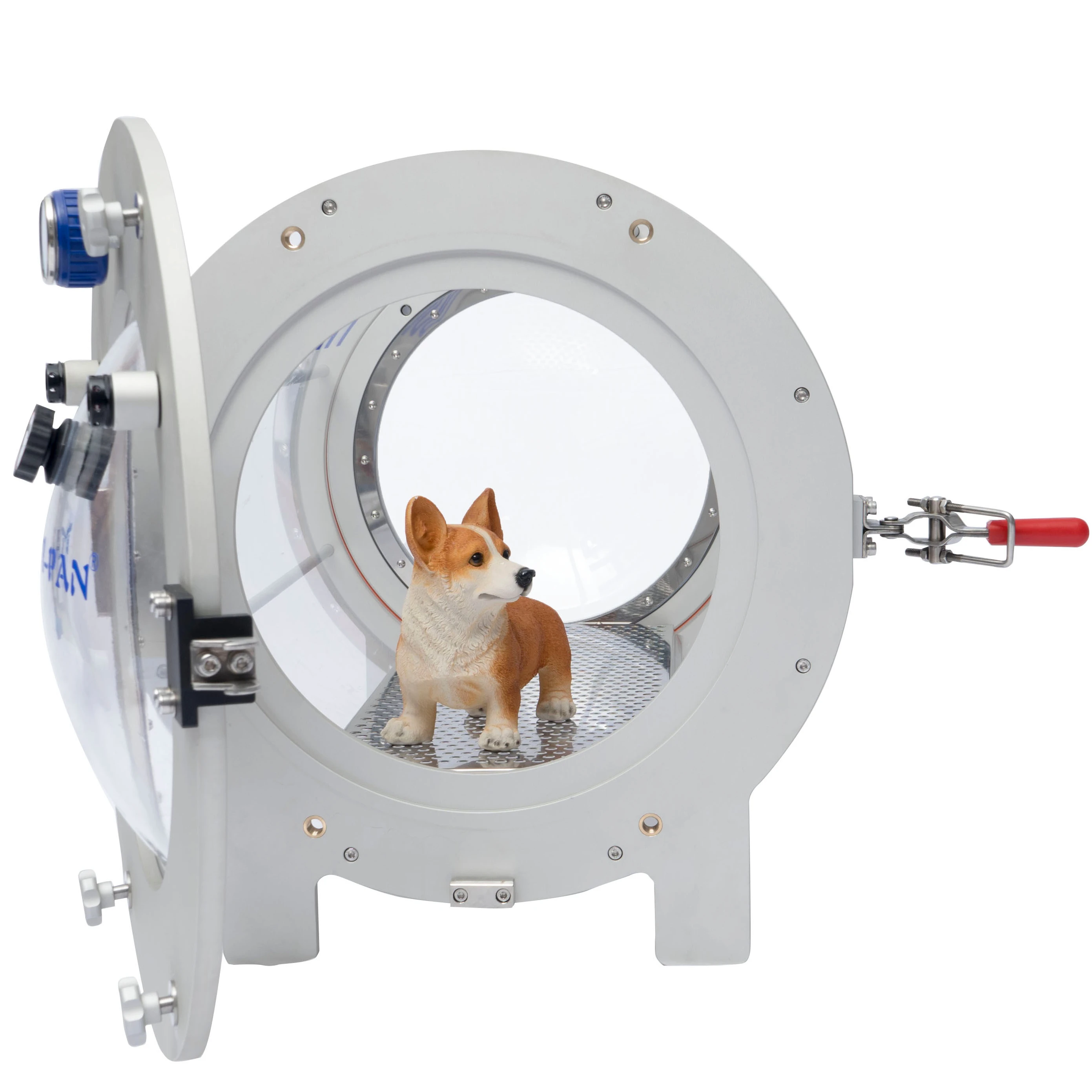 Рисунок 6 - Животные, дневная Гипербарическая камера