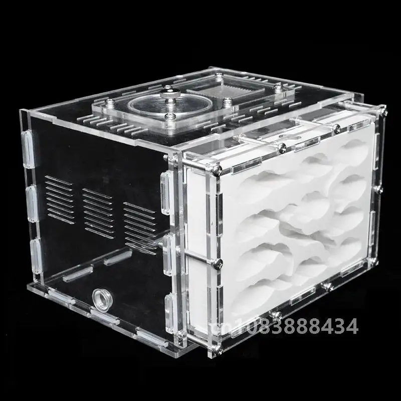 DIY акриловая ферма муравьев гипс экологический дом для домашних животных антарль