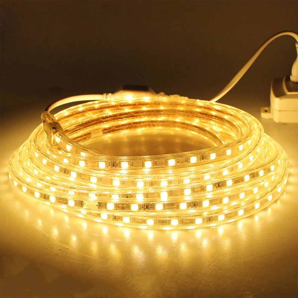 

SMD 5050 AC 220V LED Strip Outdoor Waterproof 220V Flexible Led Tape LED Light With Power Plug 1M/2M/3M/4M/5M/6M/10M/15M/20M/25M