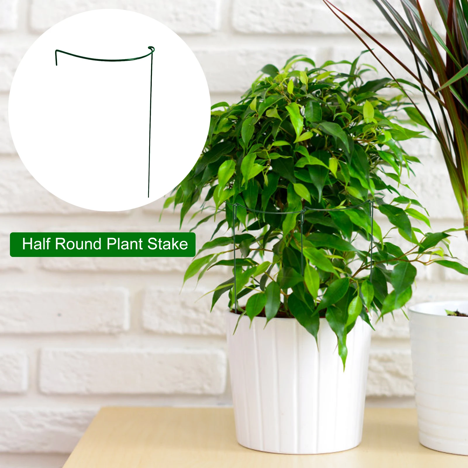 

Стойка садовая Полукруглая, металлическая стойка для подъема растений, для выращивания растений в помещении