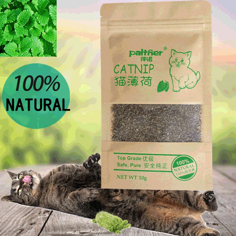 

10g Catnip Organic 100% Natural Premium Cattle Grass Menthol Flavor Clean Teeth Healthy Funny Cat Care Catmint Toys Pet Products