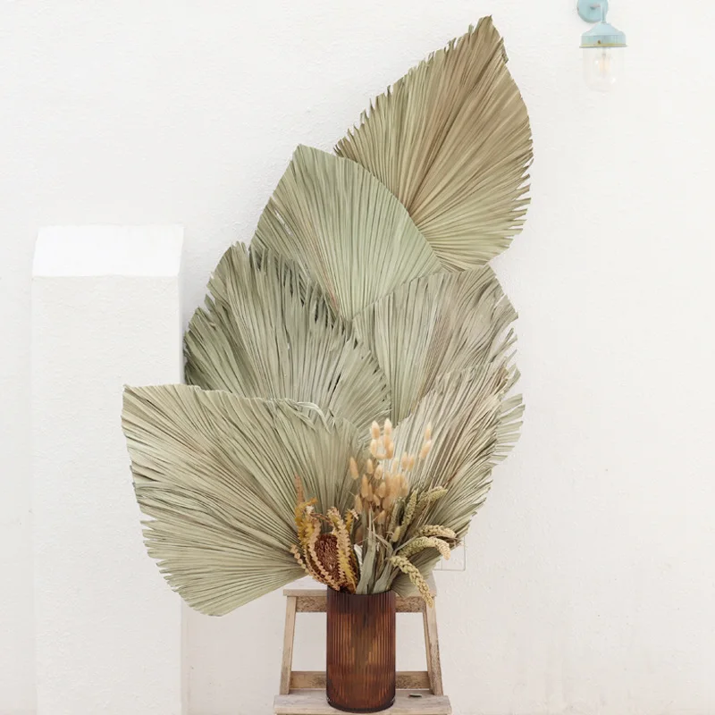 

Natural Palm Fan Leaf Dried Flower Palm Leaf Window Reception Party DIY Art Wall Hanging Decoration for Wedding Photo Props