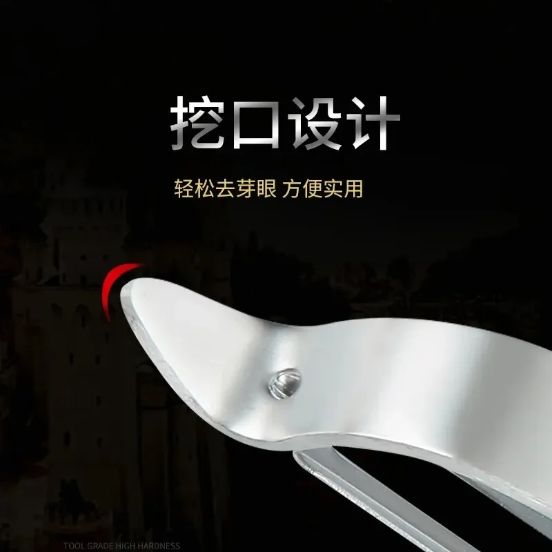 Профессиональный нож для фруктов из нержавеющей стали 304 с деревянной ручкой