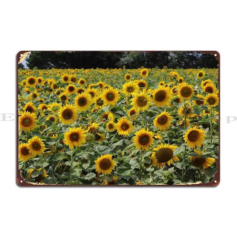 

Sunflower Field Metal Plaque Cinema Painting Club Designing Designing Tin Sign Poster