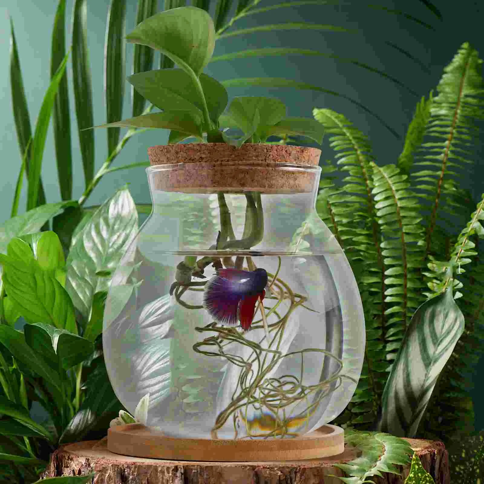 13*14 см) + бамбуковый коврик 1 шт. банка для растений террариум миниатюрный аквариум