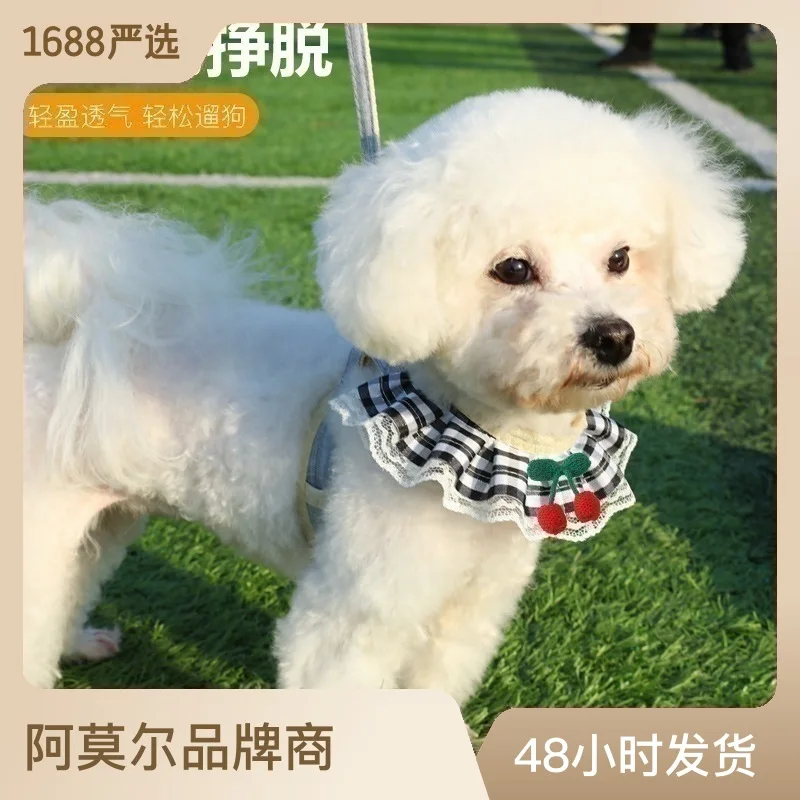 

Chest Strap Cat Bomei Teddy Leash Dog Chain