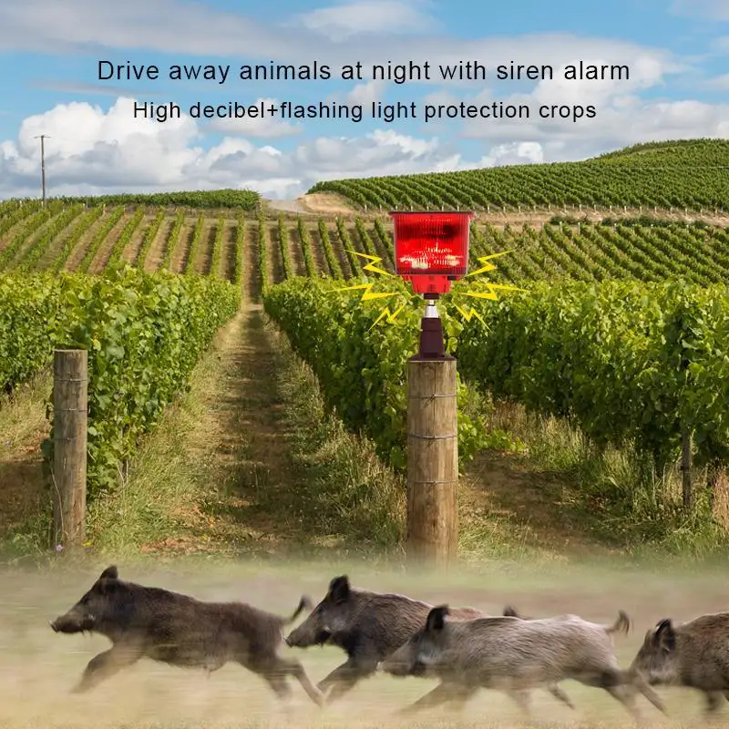 

Solar Bird Repeller Sound Light Alarm Solar Bird Repeller With 13 Sounds IP55 Waterproof Squirrel Cat Deer Bird Repeller
