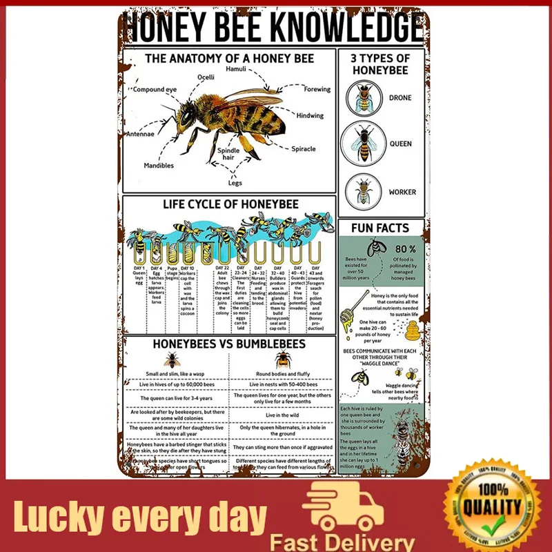 

LingAeg винтажные металлические оловянные знаки знания о медовой пчеле, металлический знак для домашнего декора, учебное руководство для пчеловодства, постер для фермы, магазина комнат