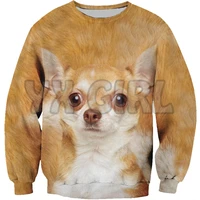 new funny dog sweatshirt chihuahua 3d printed sweatshirts men for women pullovers unisex tops