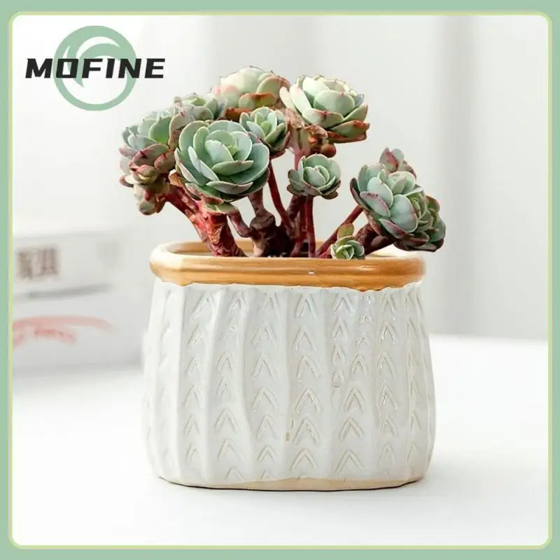 

Home Decoration Ceramic Flower Pot Multi-function For Plants Planting Fleshy Flowerpot Simple And Breathable Bonsai Potted Mini