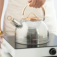 stovetop whistle kettle w lid durable whistling retro 3l for home tea room
