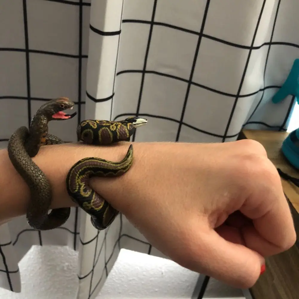 Модель животных